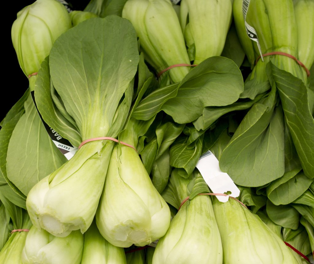 Bok Choy