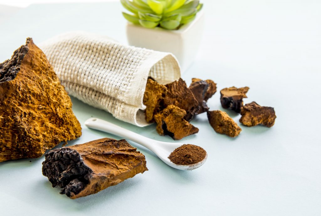 chaga mushroom benefits