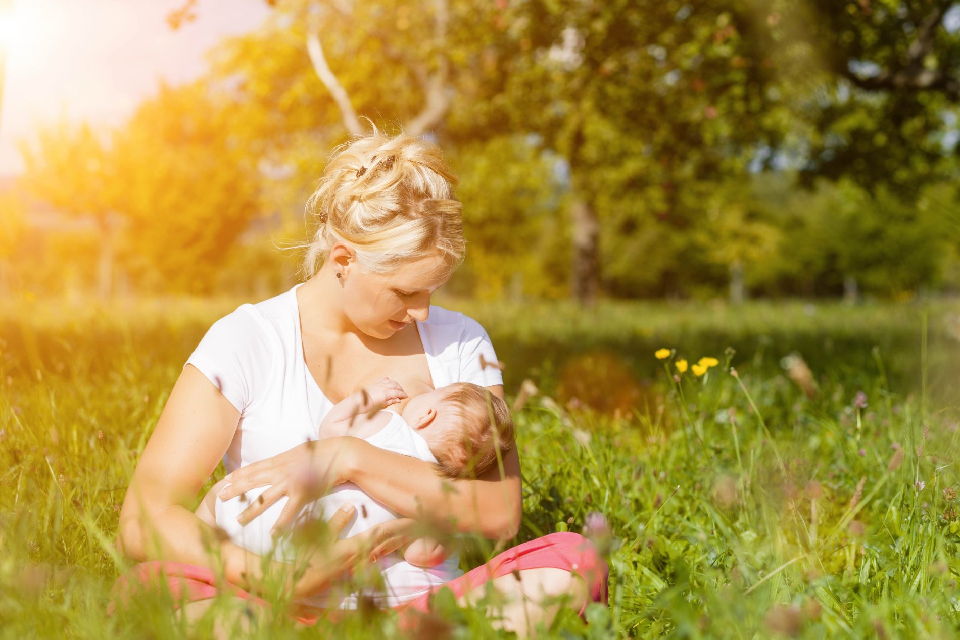 breastfeeding and immunity