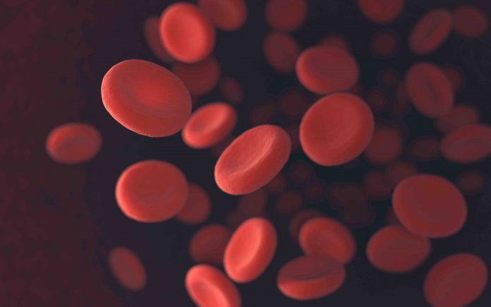 Red Blood Cells live blood cell