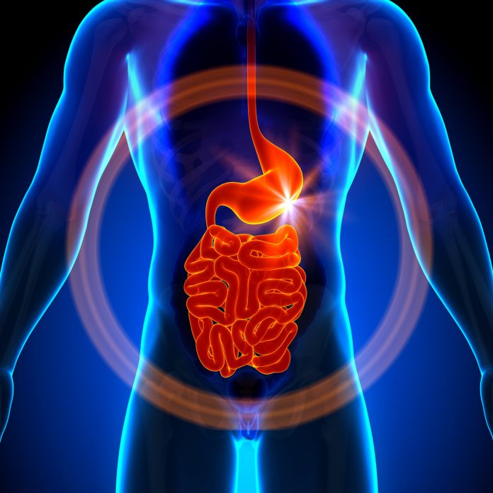 Depositphotos_47467911_l-2015-min leaky gut syndrome