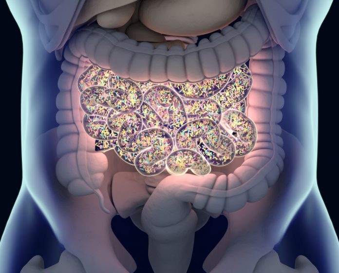 Depositphotos_153580758_l-2015-min gut microbiome