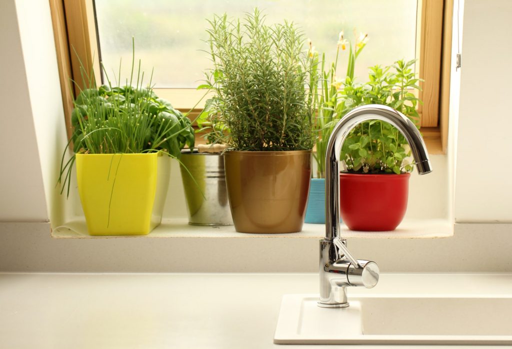 indoor herb garden