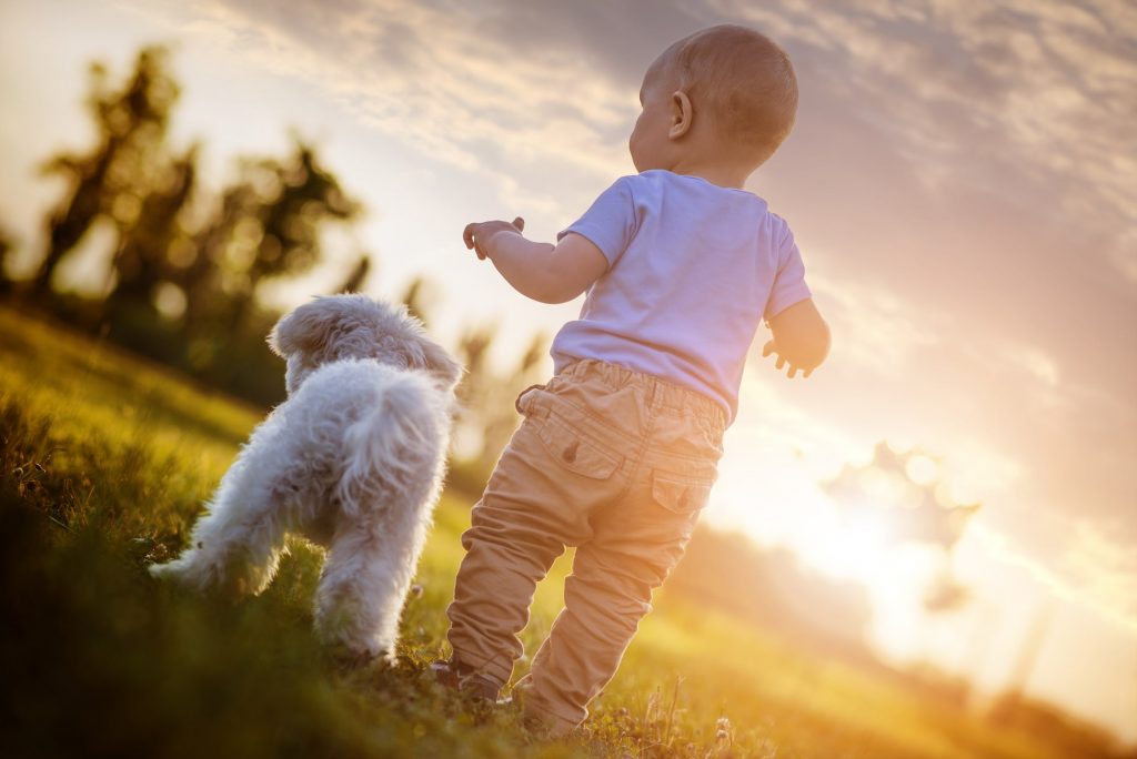 best dogs for kids