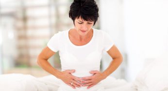 Alimentary Canal Organs And Their Role In Digestion