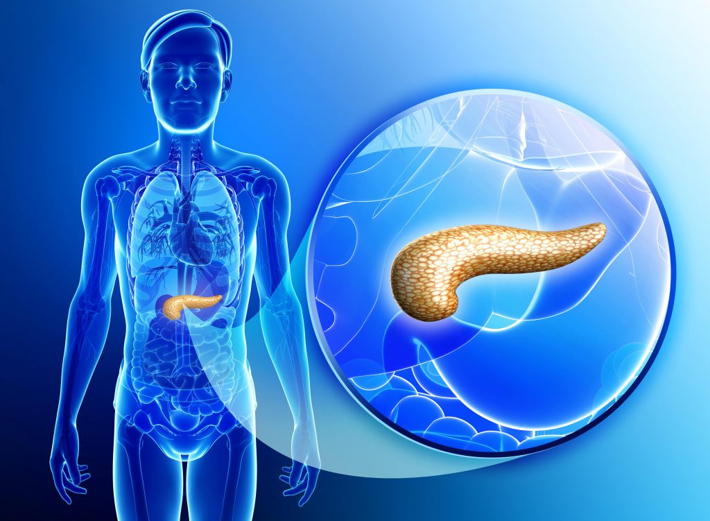 pancreatic enzymes