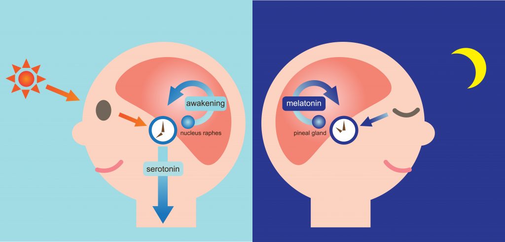 melatonin dosage, what is melatonin, how much melatonin should I take, melatonin health benefits