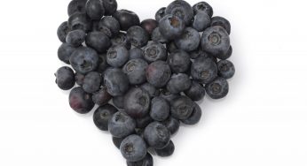 Blueberries Improve Heart Health: Hip or Hype?