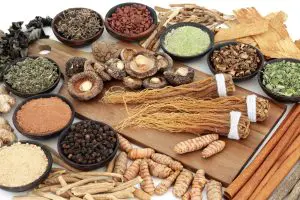 adaptogens, what are adaptogens, adaptogenic herbs, adaptogenic mushrooms