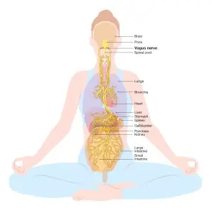 holotropic breathwork, breathwork breathwork training, breathwork techniques