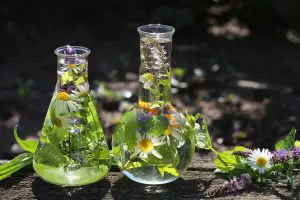 healing herbs herbs for healing herbs that heal herbs to heal